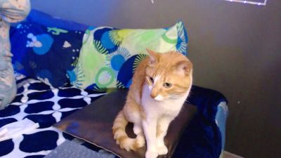 Sexosos_SW webcam cam4 model stream image