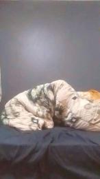 masterhight webcam model stream image