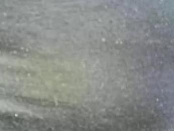 felicaste webcam model stream image