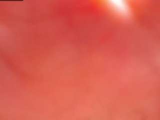 cataleaa webcam model stream image