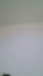 Alpha257 webcam model stream image