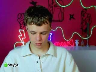 veldi-to webcam model stream image