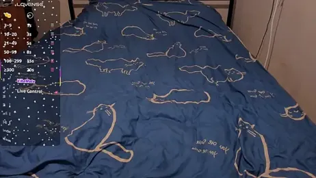 eva_zero webcam model stream image