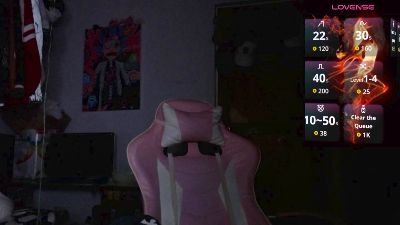 codenok webcam model stream image