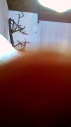 lostinthebside webcam model stream image