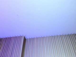 katienolan webcam model stream image