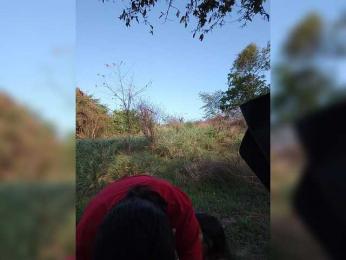 ROOMEXOTIC11 webcam bongacams model stream image