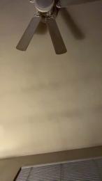 TTbaby294 webcam model stream image