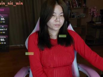 WIN_NIE webcam model stream image