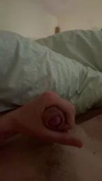 HA18 webcam model stream image