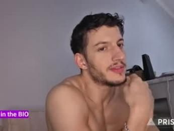 hardselfone webcam model stream image