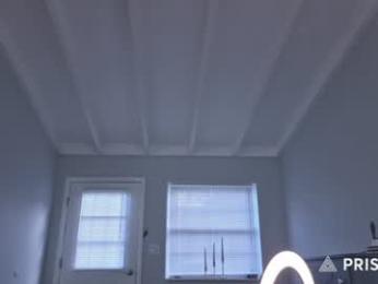hardselfone webcam model stream image