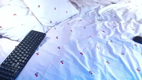 Q_T_pie webcam model stream image