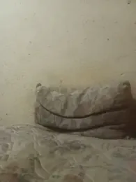 lilpip webcam model stream image