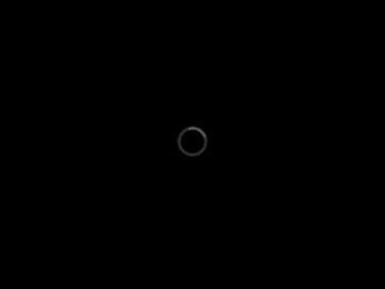 maxlnn webcam model stream image