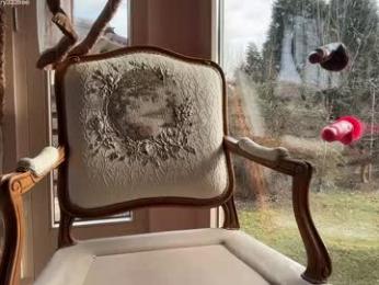 patry333 webcam model stream image