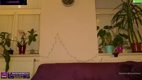 VenomVixen webcam stripchat model stream image