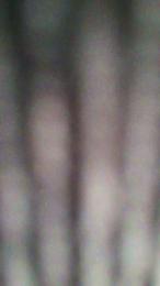 agusttinak3 webcam model stream image