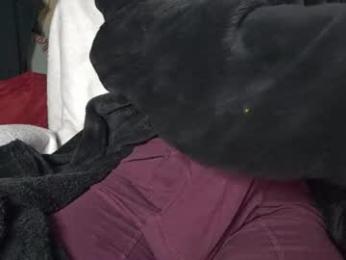 stroknmydong webcam chaturbate model stream image