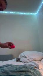 Lamuseensoie webcam model stream image