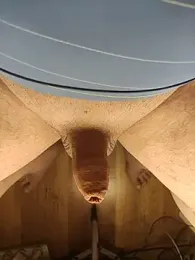 TobyDick13 webcam stripchat model stream image