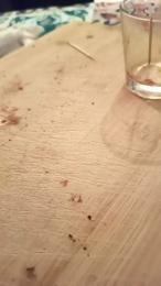 milferotika webcam cam4 model stream image