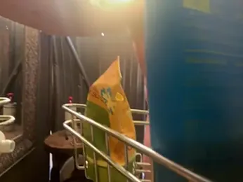 trash4cash webcam model stream image