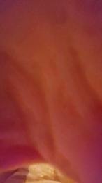 corpodausare webcam model stream image