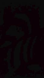 teddy2008 webcam model stream image