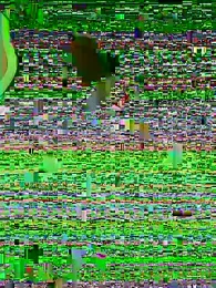 tastemecaroline webcam model stream image