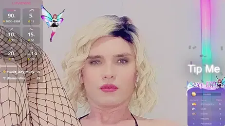 Zagadka55555 webcam stripchat model stream image