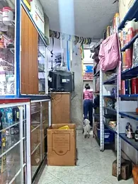 Niidia webcam model stream image