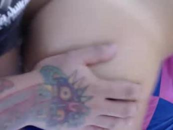 sgmr webcam model stream image