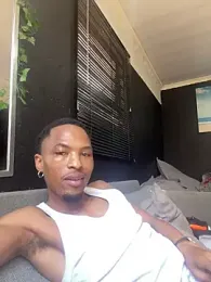 BlueIceCube webcam model stream image