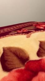 Mllej webcam model stream image