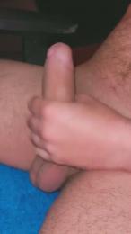 Pinguino08 webcam cam4 model stream image