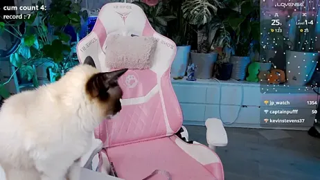 cutelittlepuff webcam stripchat model stream image