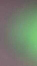 zonneke2 webcam model stream image