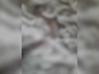 bulochka733 webcam model stream image