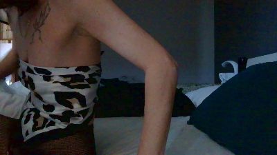 Elydea webcam model stream image