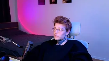 DENIS_HERE webcam model stream image