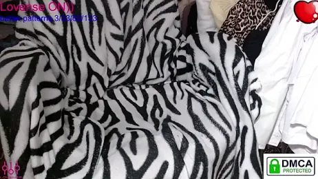 sweet_cute_cat webcam model stream image