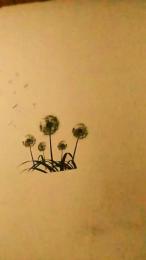 LUNA639 webcam model stream image