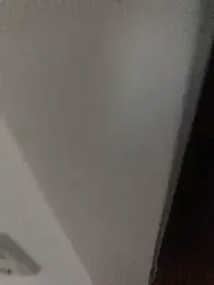 Spielzeugtwink webcam model stream image