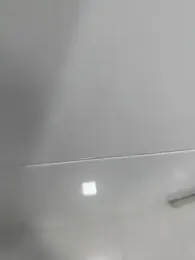 Merlin2310 webcam model stream image