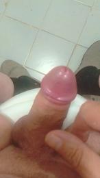 Gustami webcam model stream image