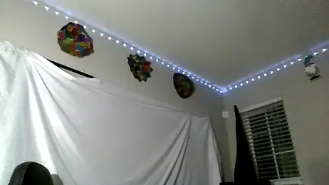 Triggerhappycj100 webcam model stream image