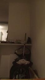 Sha18 webcam model stream image