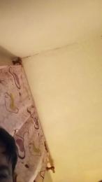 callett555 webcam model stream image