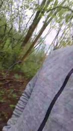 Socke72 webcam cam4 model stream image